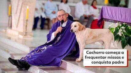 Cachorro “Caramelo” Frequenta Missas e Conquista Padre no Paraná - Imagem do artigo original