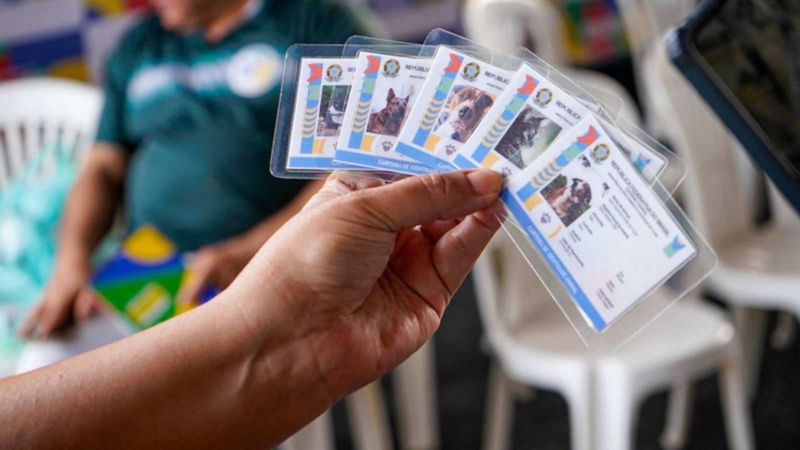 Mutirão em Fortaleza: Emissão de Documentos e Perícia do INSS - Imagem do artigo