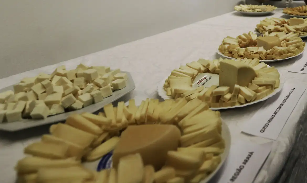 Brasil inicia importação de queijo barato pós Acordo Mercosul-UE - Imagem do artigo original