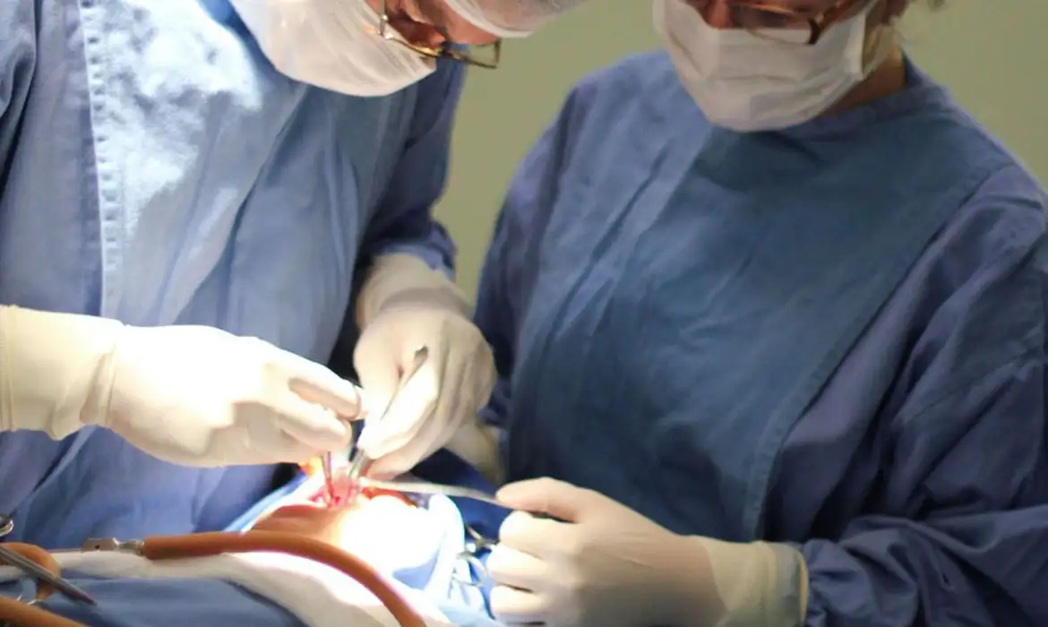 Fissura Labiopalatina: Demanda Urgente por Tratamento Precoce - Imagem do artigo original