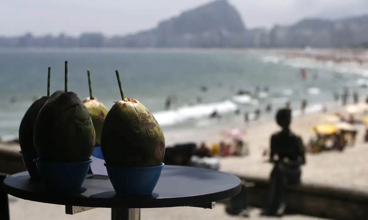 Gastos de Turistas Estrangeiros Batem Recorde no Brasil - Imagem do artigo original