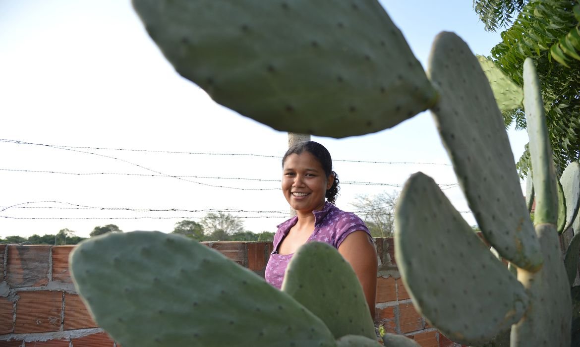 Mulheres Lideram 19% da Produção Rural Brasileira - Imagem do artigo original