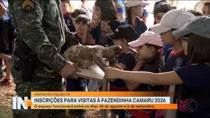 Fazendinha Camaru 2026: Inscrições para visitas guiadas abertas - Imagem do artigo original
