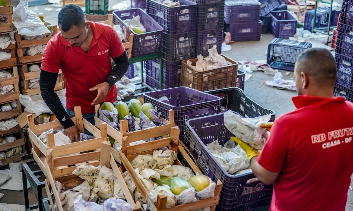 Plano Safra da Agricultura Familiar recebe R$ 97,3 bi em crédito - Imagem do artigo original