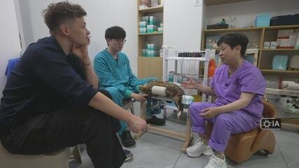 Mercado Pet na China: Crescimento, Luxo e Mudança Social - Imagem do artigo original