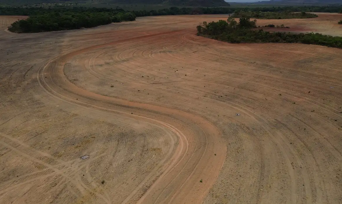 Moratória da Soja: Fim pode ampliar desmatamento na Amazônia - Imagem do artigo original