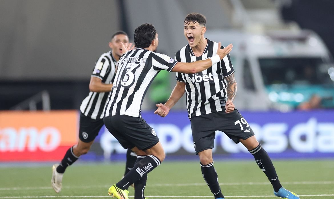 Botafogo Vence Santos no Brasileirão com Gols da Base - Imagem do artigo original