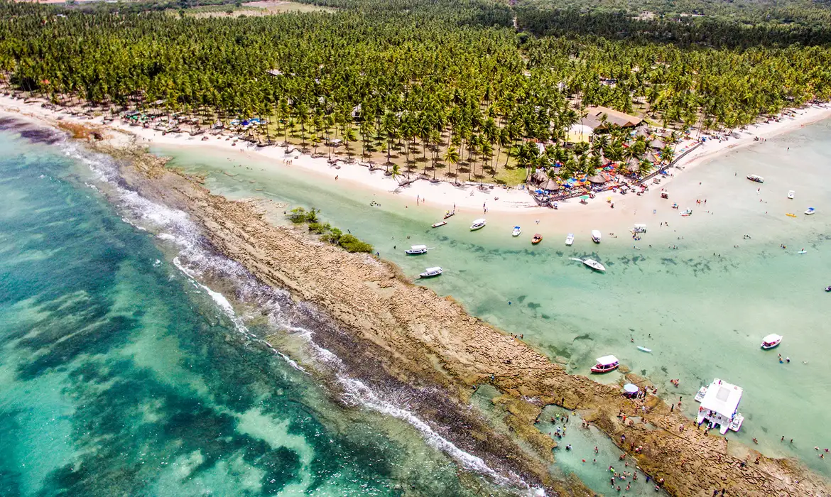 Poluição Sonora de Barcos Afeta Comunicação de Peixes - Imagem do artigo original