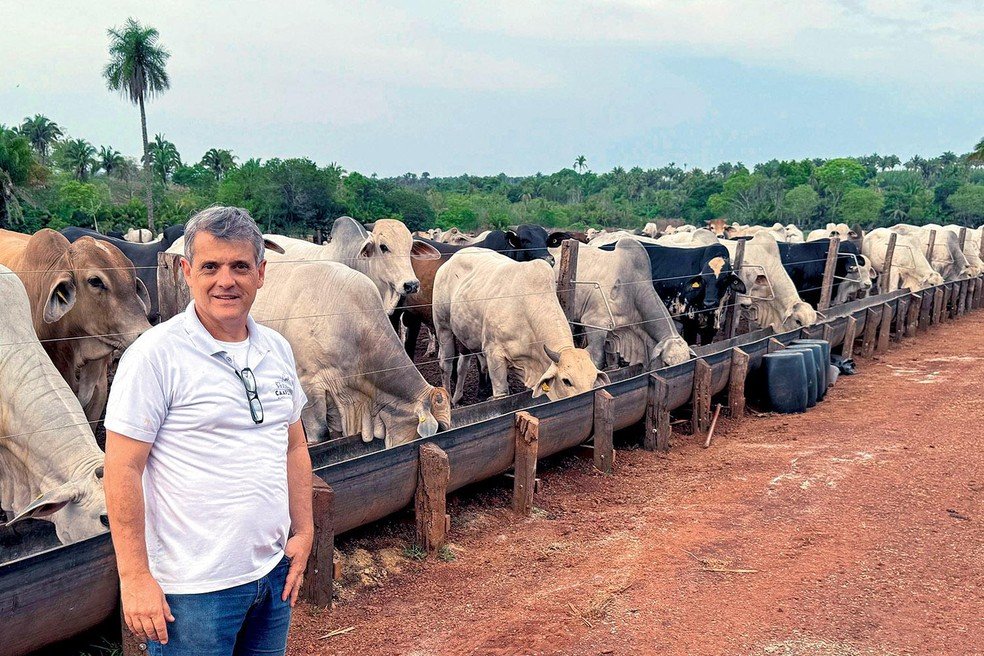 Afrouxamento Ambiental no Brasil: Críticos Alertam Para Custos Reais - Imagem do artigo original