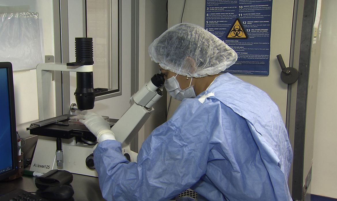 Remissão do HIV: Transplante de Células-Tronco Traz Novas Esperanças - Imagem do artigo original