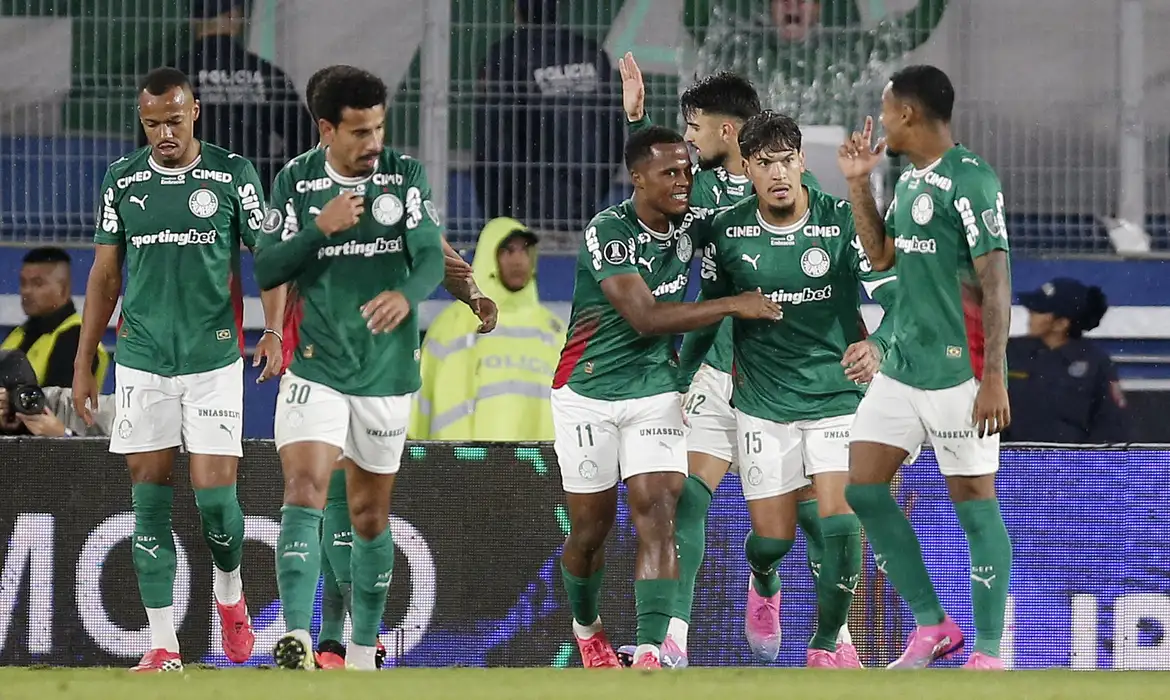 Palmeiras Garante Vaga nas Quartas da Libertadores - Imagem do artigo original