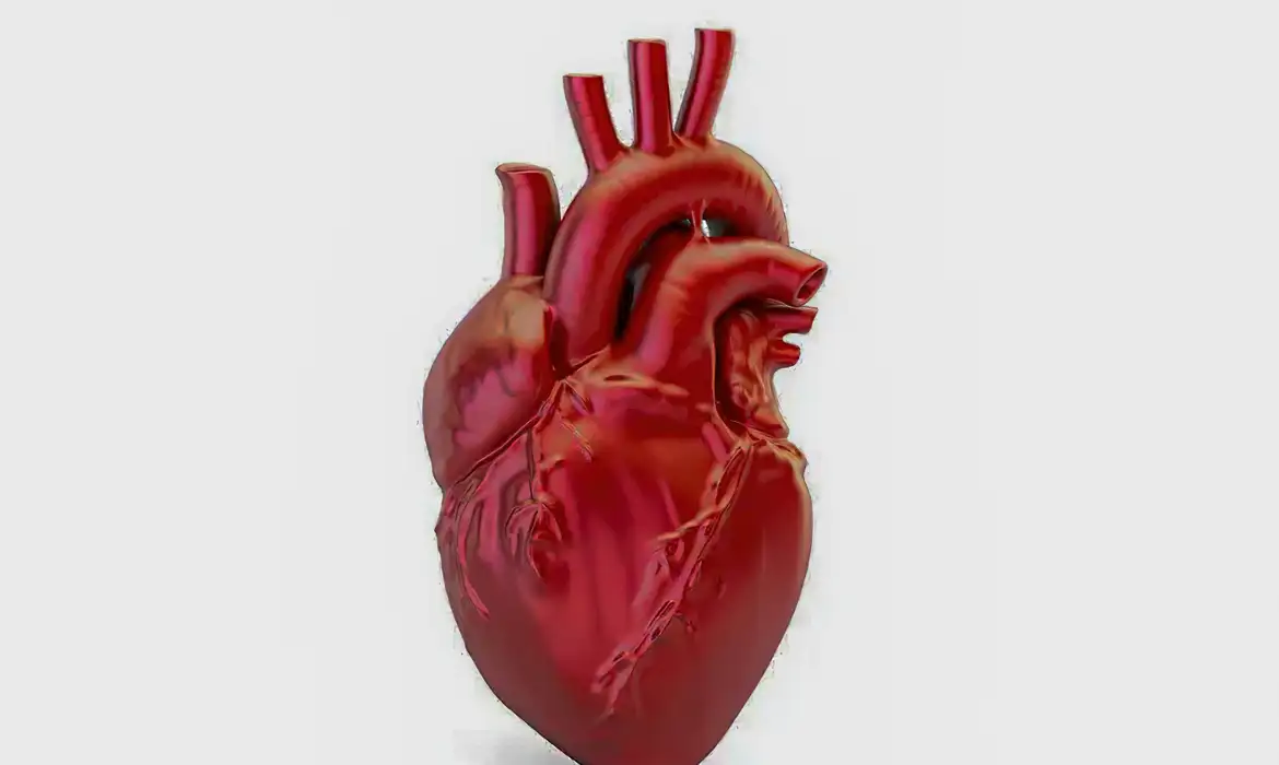Nova Diretriz Atualiza Critérios para Diagnóstico de Infarto - Imagem do artigo