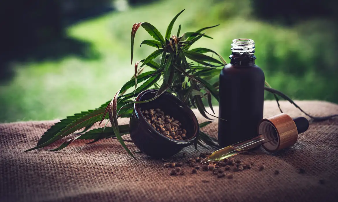 Regulamentação Cannabis Medicinal: Pontos Abertos Preocupam - Imagem do artigo original