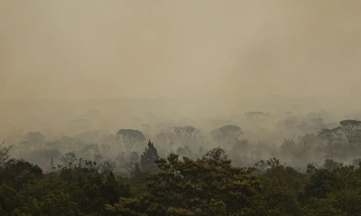 Força Nacional SUS Amazonas Reforça Atendimentos em Saúde - Imagem do artigo original