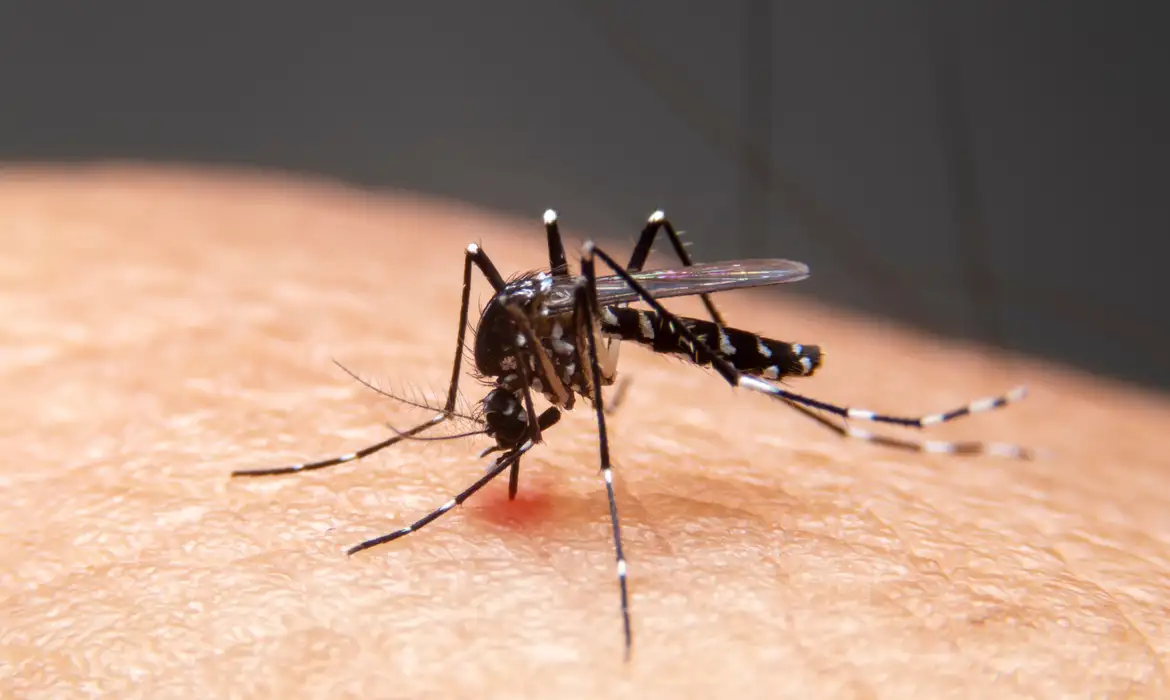 Mudanças Climáticas Impulsionam Doenças Infecciosas no Brasil - Imagem do artigo original