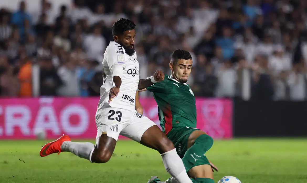 Brasileirão: Empate Santos e Palmeiras Agradece Flamengo - Imagem do artigo original